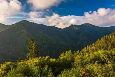 Incredible mountain views from one of our secluded luxury cabins in Pigeon Forge.