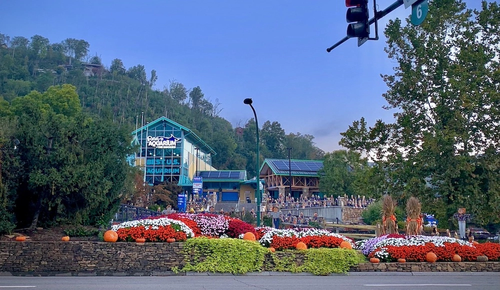 updated Gatlinburg aquarium with flowers