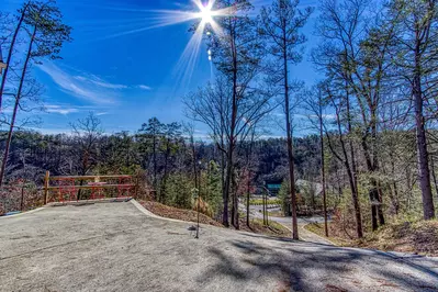 TREETOP VIEWS