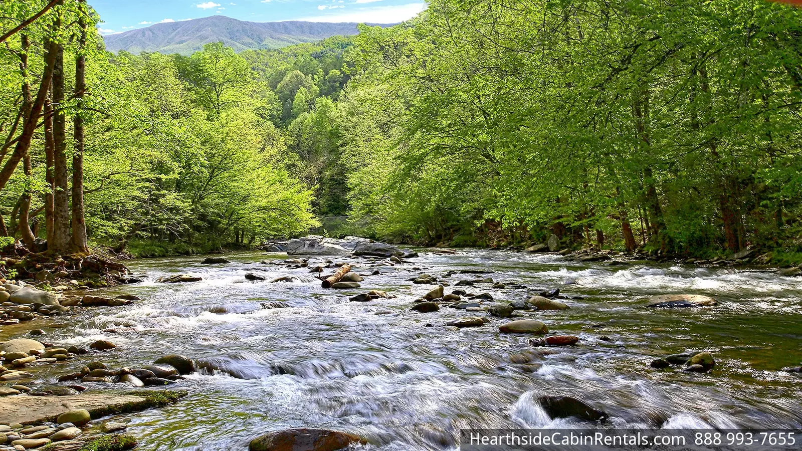 APPALACHIAN ADVENTURE