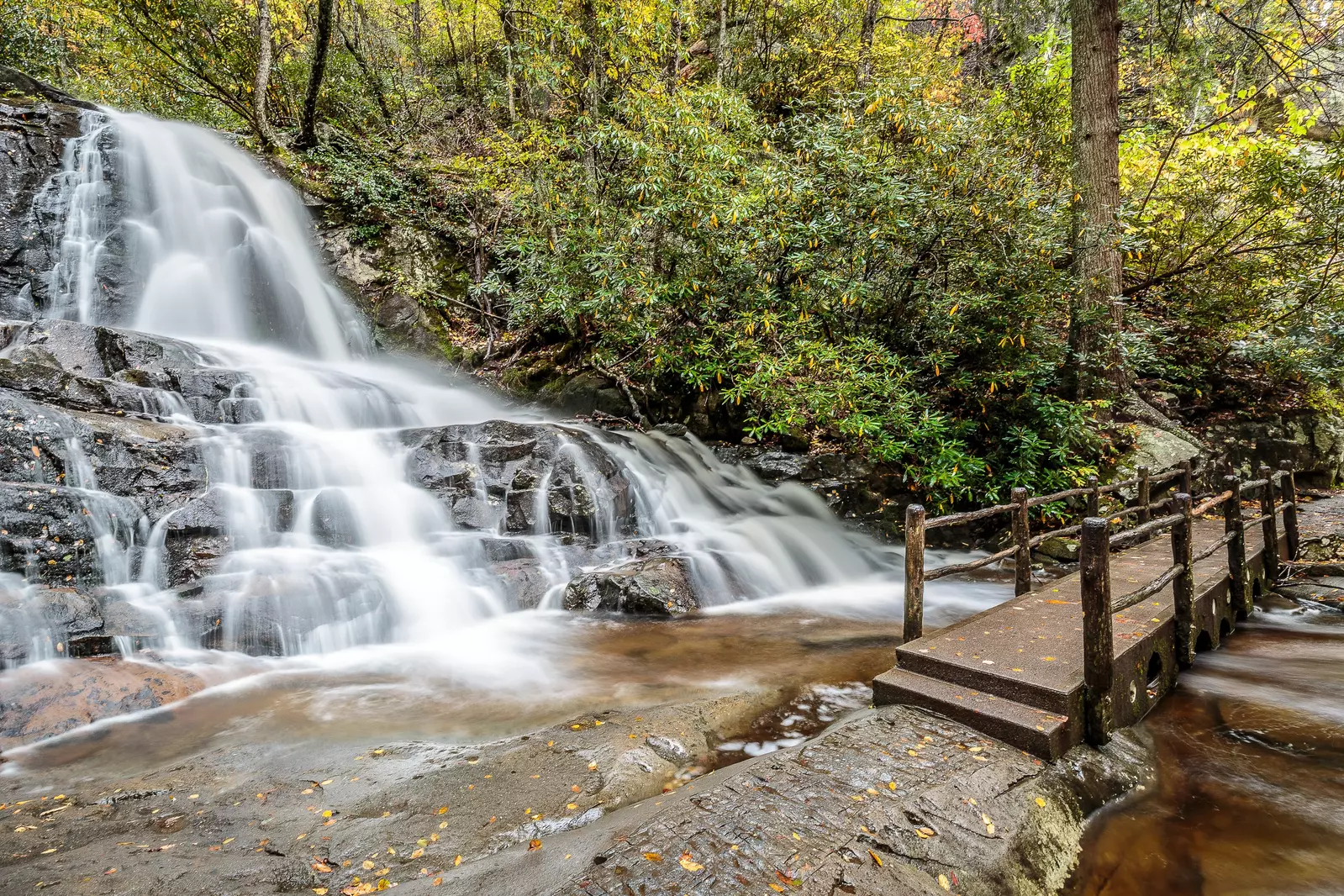 MOUNT LECONTE VIEW LODGE