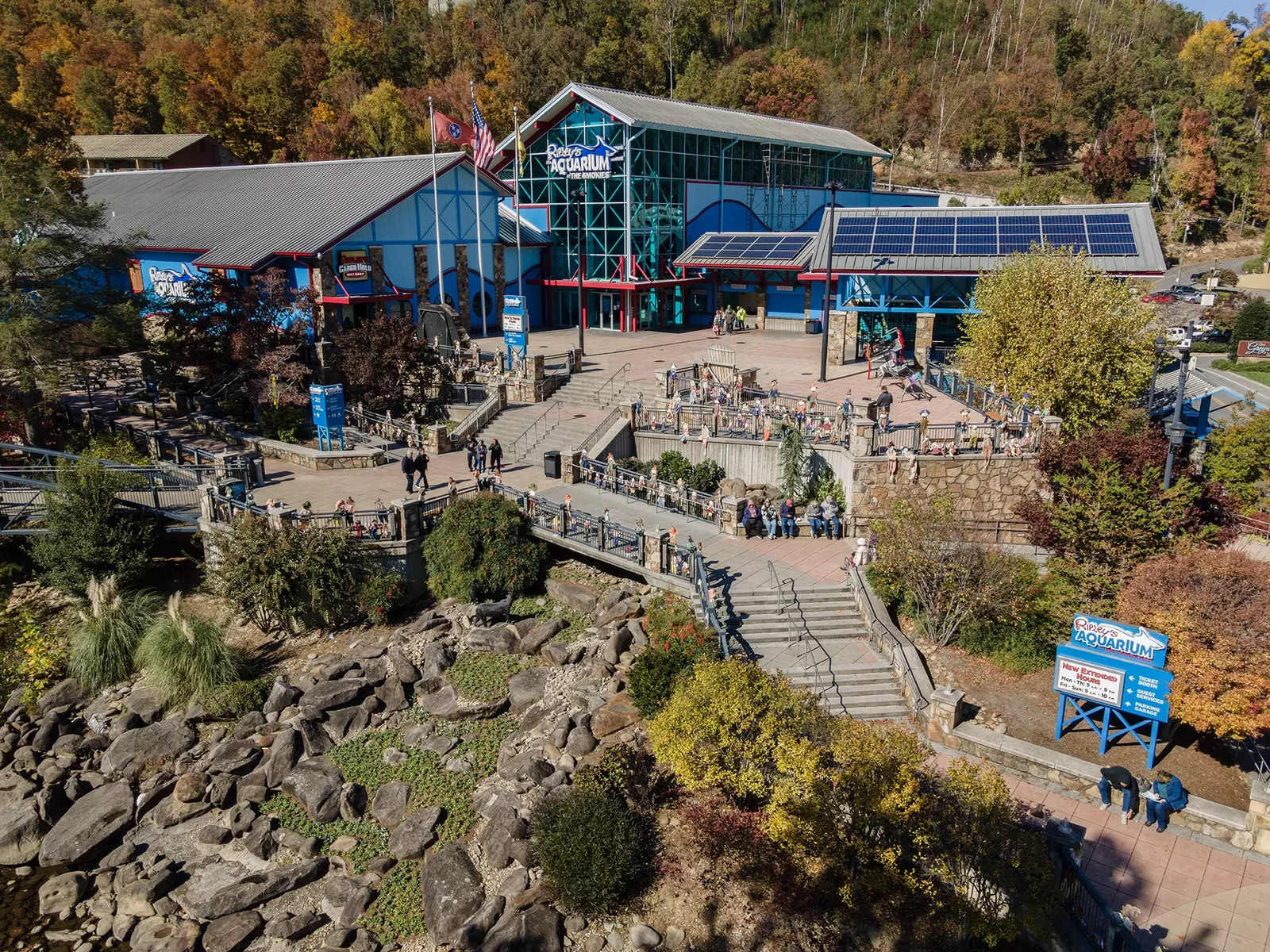 MOUNT LECONTE VIEW LODGE