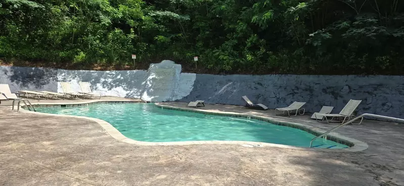 MOUNT LECONTE VIEW LODGE