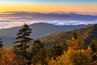 kuwohi in the smoky mountains in the fall